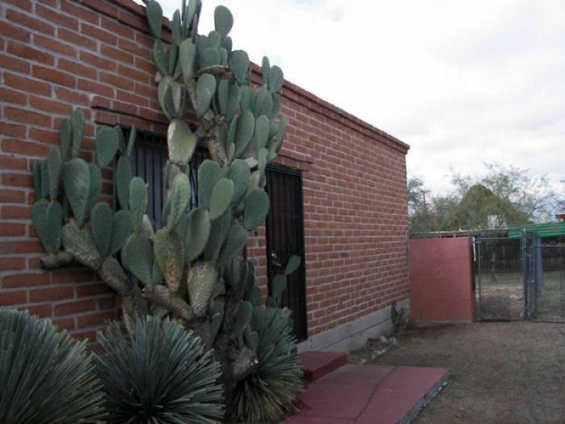 4059 E Lee St, Tucson, Arizona 85712, 2 Bedrooms Bedrooms, ,1 BathroomBathrooms,Home,For Rent,E Lee St,1424
